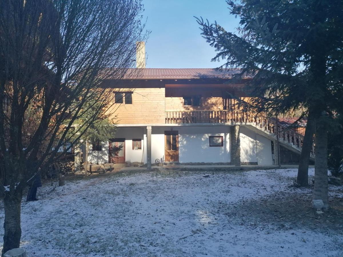 Pensiunea Perla Maramuresului Borsa  Exterior photo