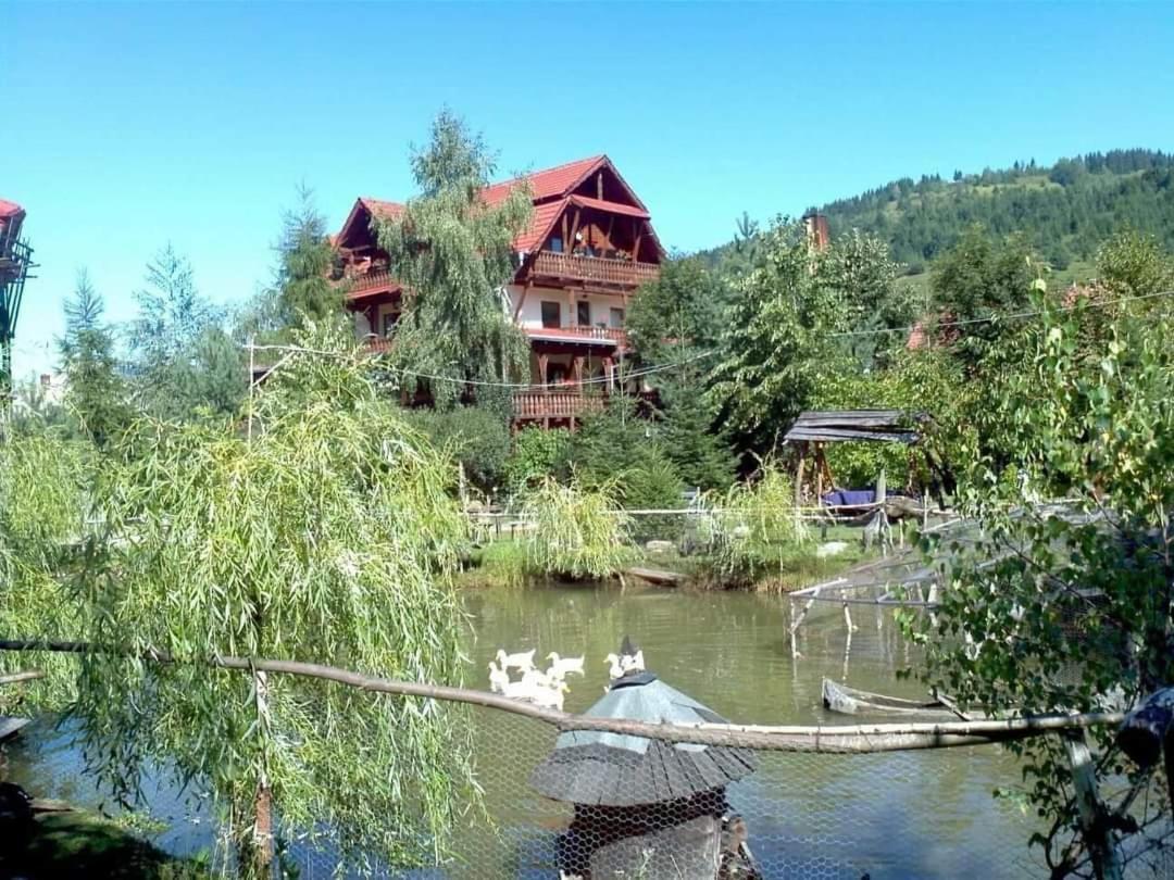 Pensiunea Perla Maramuresului Borsa  Exterior photo