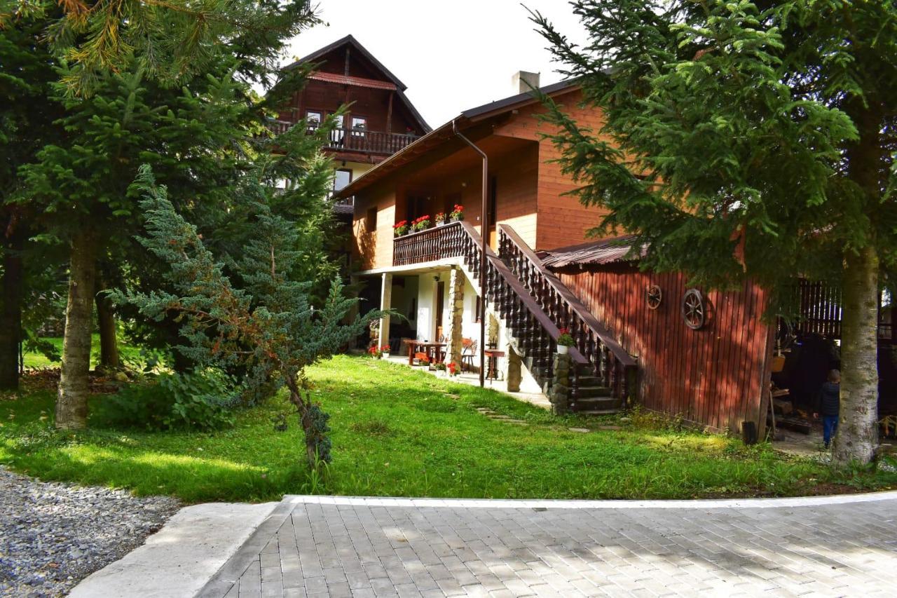 Pensiunea Perla Maramuresului Borsa  Exterior photo