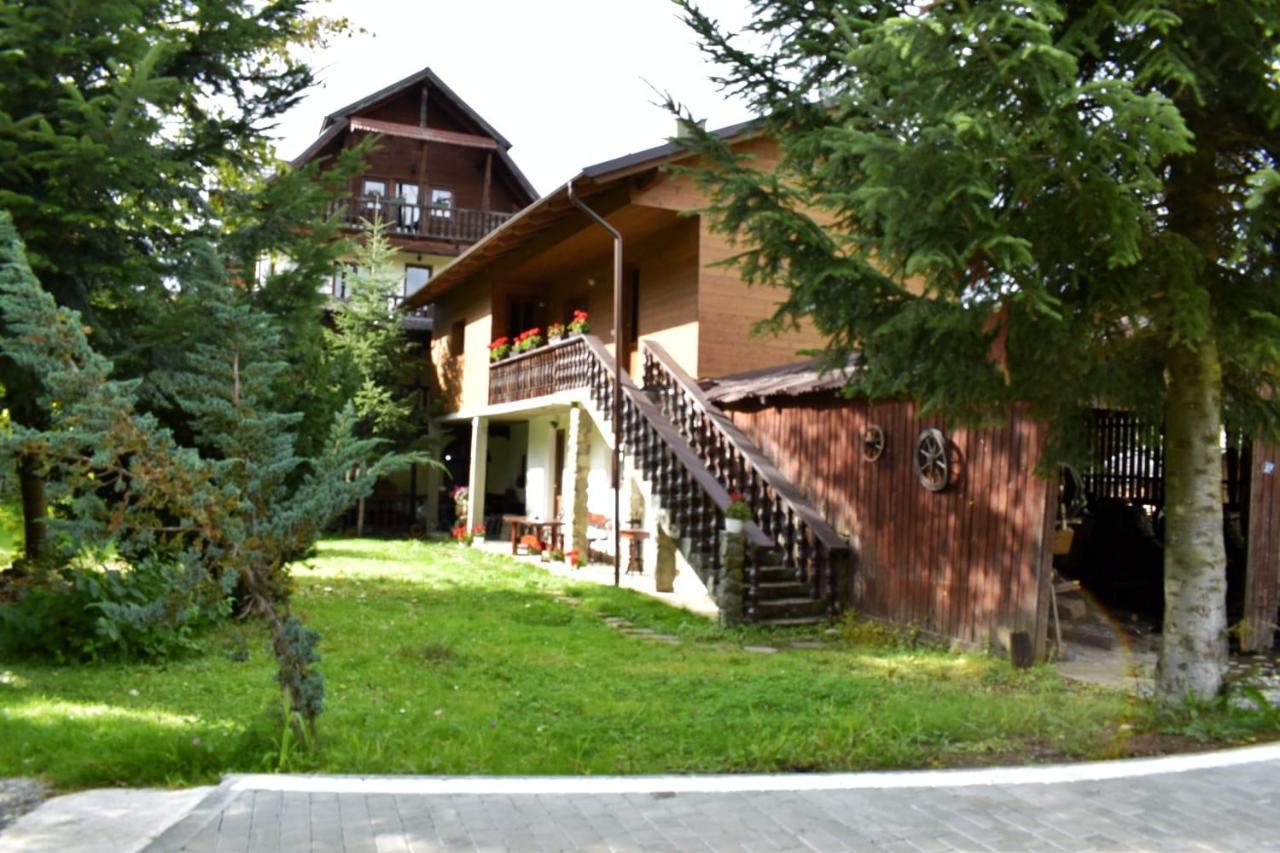 Pensiunea Perla Maramuresului Borsa  Exterior photo