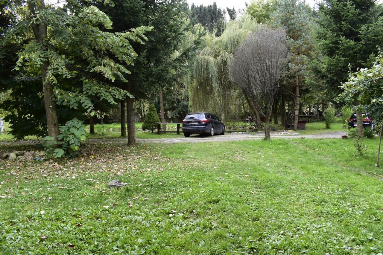 Pensiunea Perla Maramuresului Borsa  Exterior photo